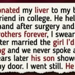 12 Moments That Prove Even One Act of Kindness Can Echo for a Lifetime