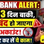 PNB Bank Alert