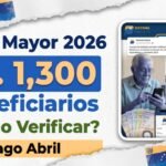 pension-amor-mayor-2026